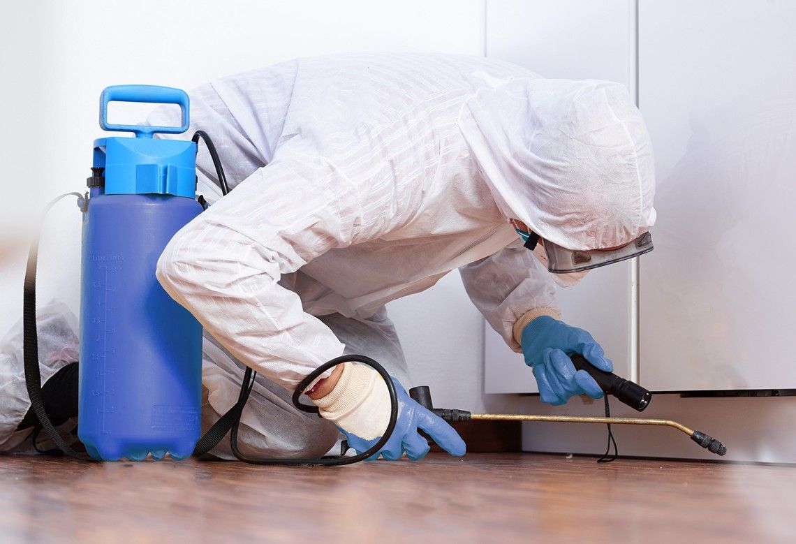 Technicien ALS Dératisation en intervention, diagnostic sur site